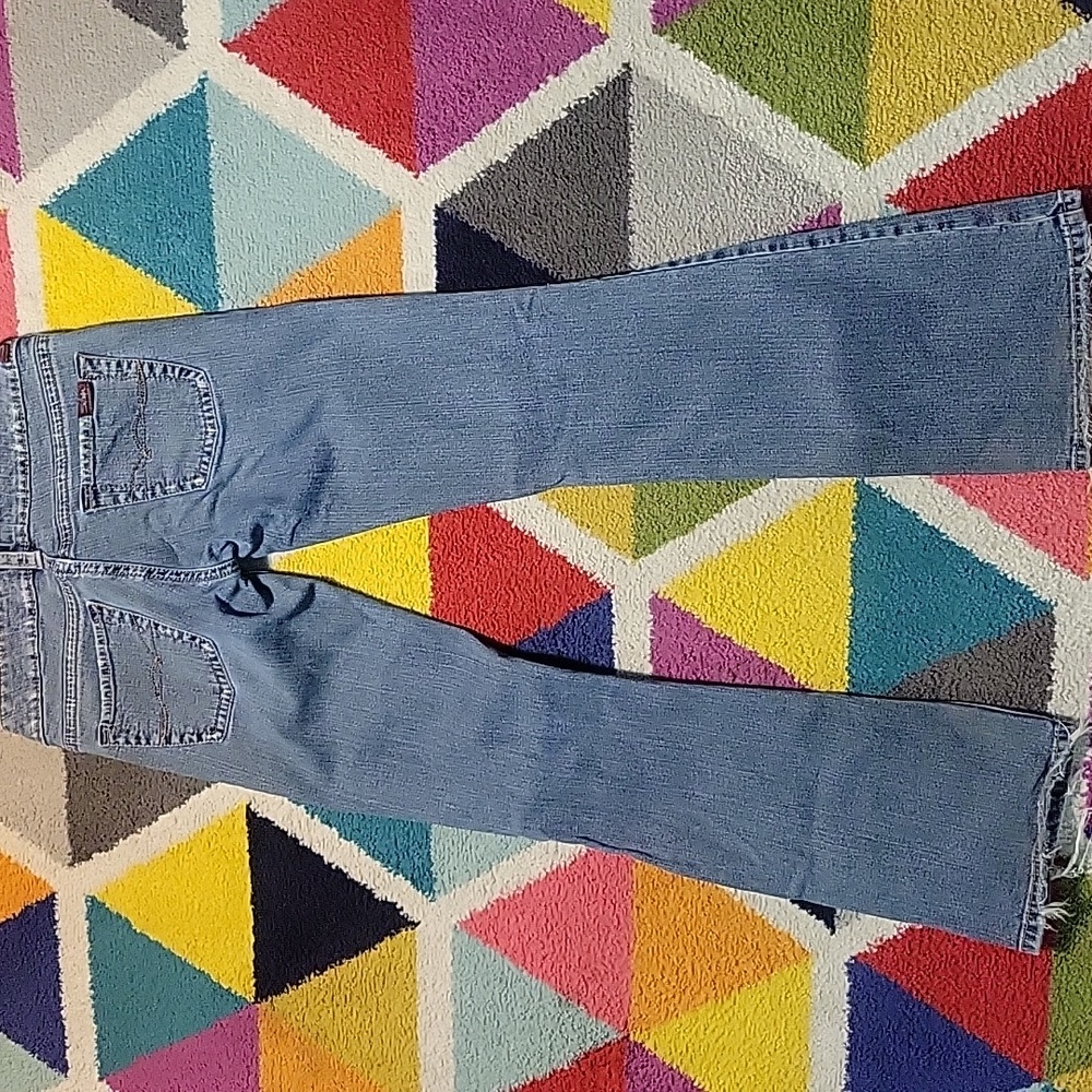 Silver Tuesday Low Rise Flare Jeans 30x33